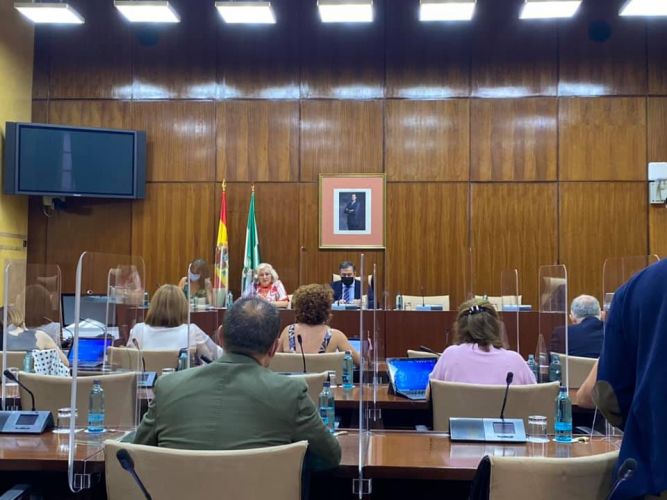 LA VOCALIA DE EDUCACION DEL C.P.T.S. CORDOBA COMPARECE EN EL PARLAMENTO ANDALUZ